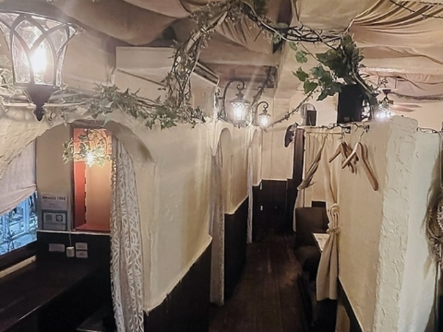 IWc[ ORANGE TREE̎ʐ^1