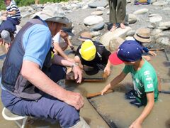 �����@��̌��̎ʐ^1