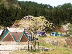 ���|�̗��L�����v��̎ʐ^1