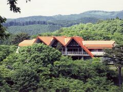 ��錧��������O�����Z���^�[�̎ʐ^1