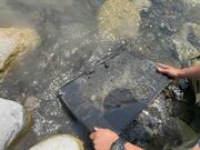 �����@��̌��̎ʐ^2