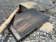 �����@��̌��̎ʐ^3