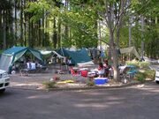 �S�㔪�������炬���o�[�E�b�h�I�[�g�L�����v��̎ʐ^1