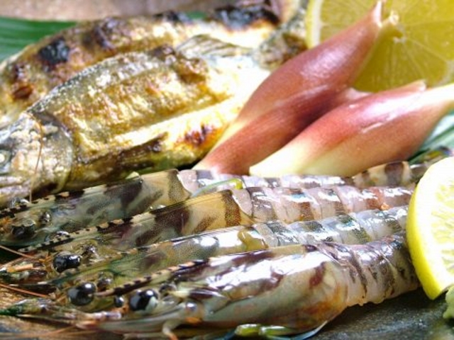 �|�����̎ʐ^1