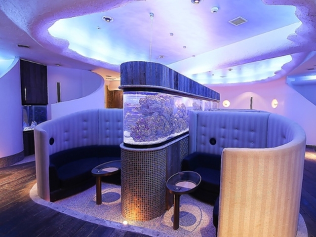 Ryuduki EdL ю̎ʐ^1