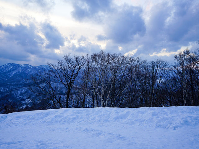 ��i�F���y���߂܂�_������R���[�v�E�F�C