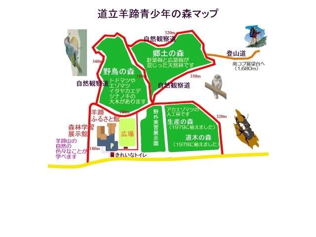 �r���R���R�����t�B�[���h�A�X���`�b�N�R�[�X