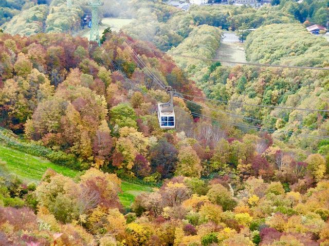 �����������[�v�E�F�C