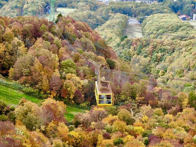 �����������[�v�E�F�C