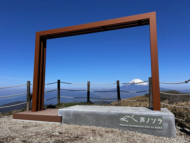 �x�m�R���z�ɓ���ĎB�e���邱�Ƃ��o���颕x�m�m�K�N����ЁA�z���ɗ����x�m�R�ƈꏏ�ɎB�e���܂��傤�B�f�G��1���ɂȂ�܂���_���� ��x���[�v�E�F�[�i���m�\���j