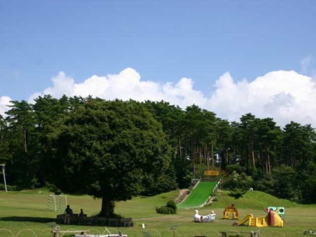 �X�̍�_�X�̍��@��R�t�B�[���h�A�X���`�b�N