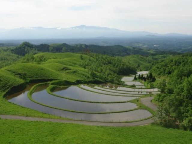 フォトパネル①■扇棚田産山村■A1サイズ■マットパネル フォトパネル①□扇棚田産山村□A1サイズ□マットパネル