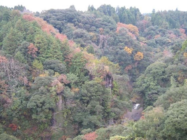 �O�V�{���g�t�̎ʐ^1