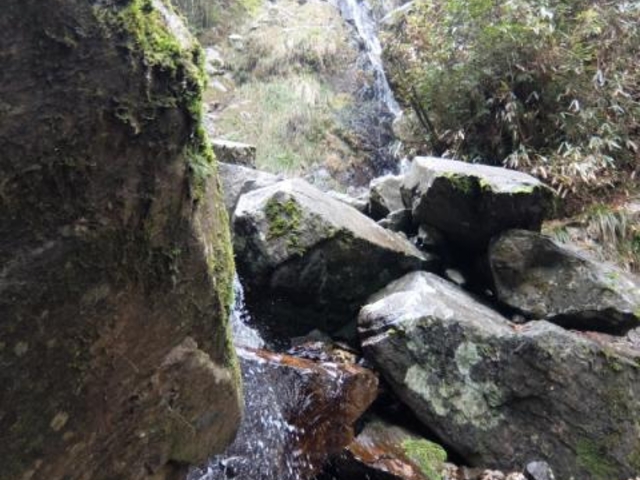 �ω���̎ʐ^1