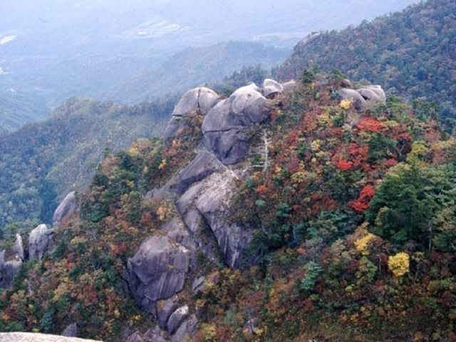 ����R�̍g�t�̎ʐ^1