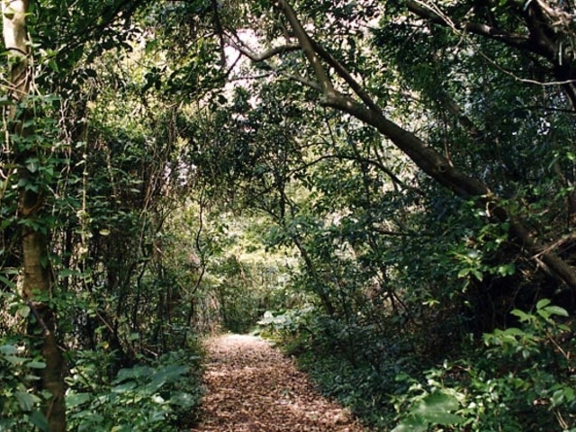 ���u��Ԃ̐A���Q��