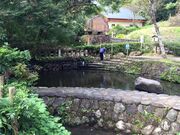 �������̎ʐ^1