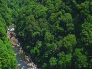 ���h�k���R�����т̎ʐ^1