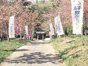 �G�{�V�{�^���U�N���̎ʐ^1