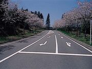 �q��̍��̎ʐ^2