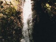 ���֕��̑�̎ʐ^1