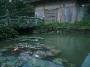 �~�o���Ղ̃X�C�����̎ʐ^1