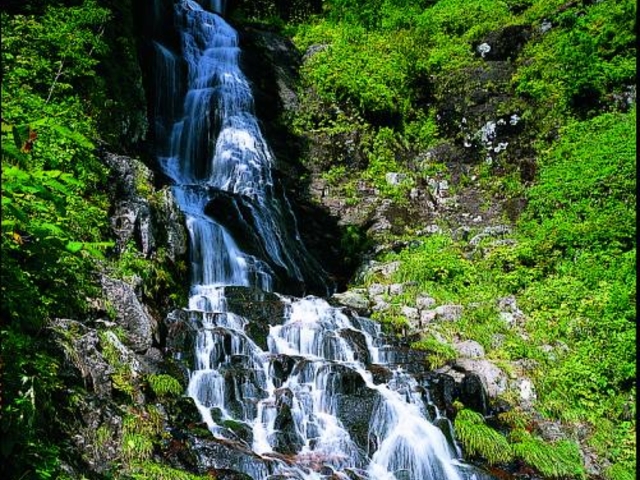 ���J�̑�̎ʐ^1