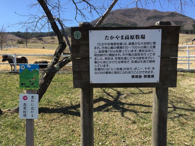 ������܍����q��