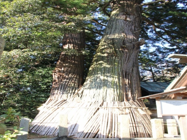 �����̐_�����̎ʐ^1