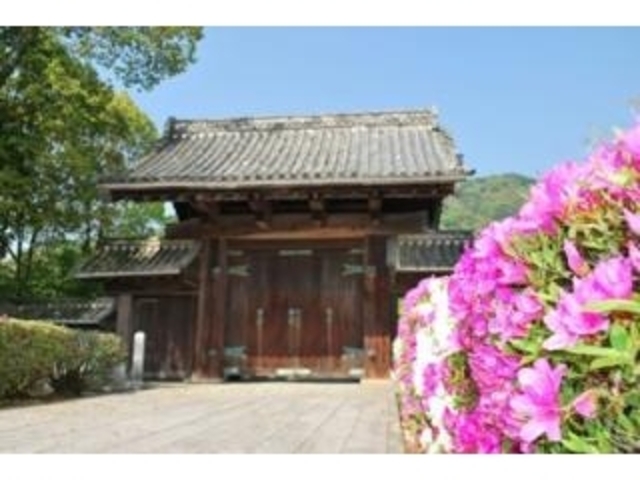 �������[�^���̎ʐ^1