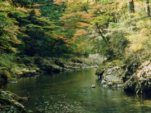 �j�q��k�J�̍g�t�̎ʐ^1