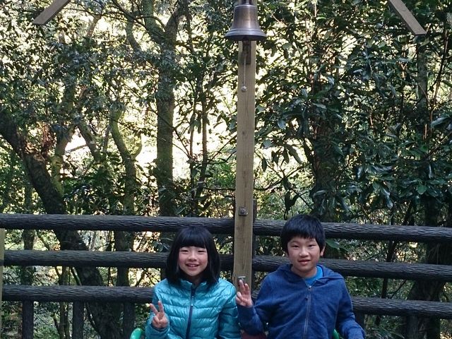 �K���̏�&���u�x���`�B_���Ԑ��j�W�}�X�ޏ�