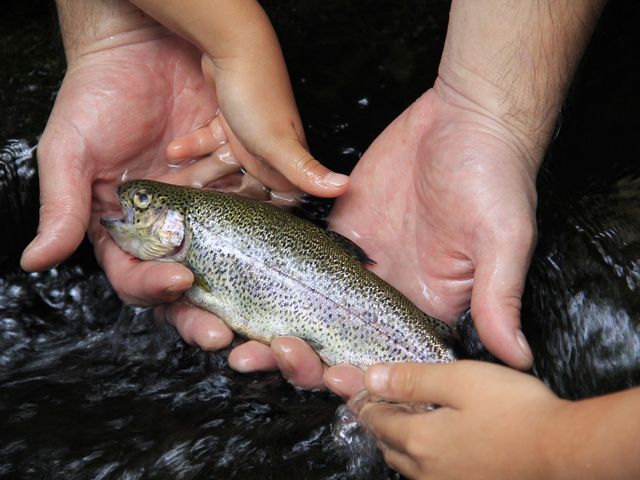 �j�W�}�X_���Ԑ��j�W�}�X�ޏ�