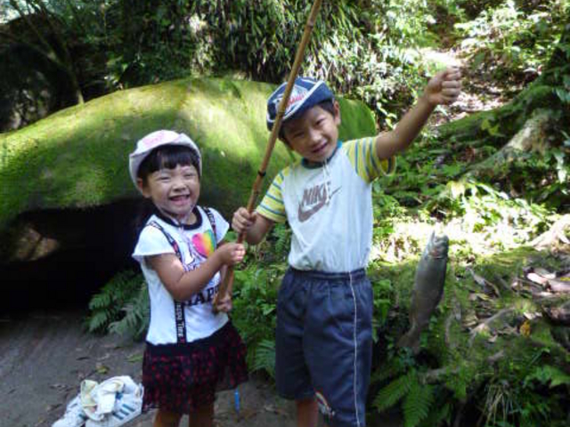 �ނꂽ����`��_���Ԑ��j�W�}�X�ޏ�