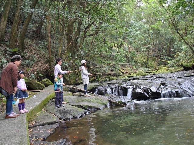 �[�ċz�������Ȃ�Ȃ��`�O�O�I_���Ԑ��j�W�}�X�ޏ�