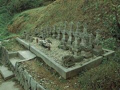 �É���⸈󓃌Q�̎ʐ^1