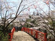 �������R�����̍��E�c�c�W�̎ʐ^1