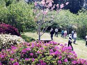 i_䖦j̎ʐ^1