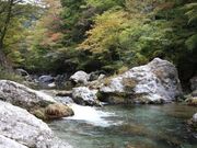 ���c�[�R�k�J�̎ʐ^1