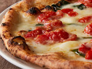 �s�b�c�@ �T�����@�g�[�� �N�I�� ����O�X�̎ʐ^1