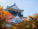 岡崎公園の紅葉の写真4