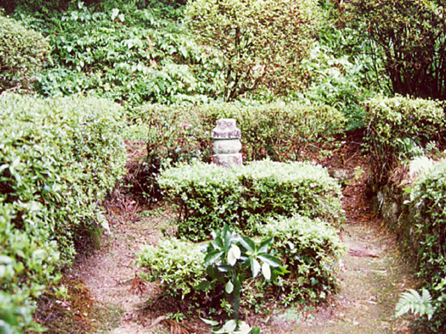 ���c�M���̕�̎ʐ^1