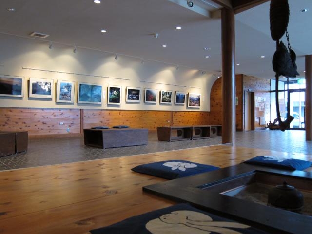 �V�쑺��������