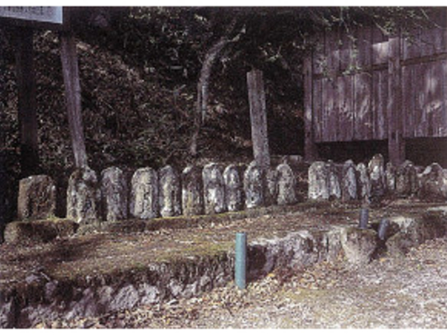 �R���Ꝅ�`���̕�̎ʐ^1