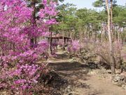 ���̉w �Ȃ邳�� ���̎ʐ^1