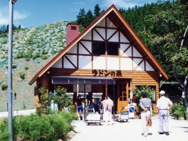 �����������������h���̐�