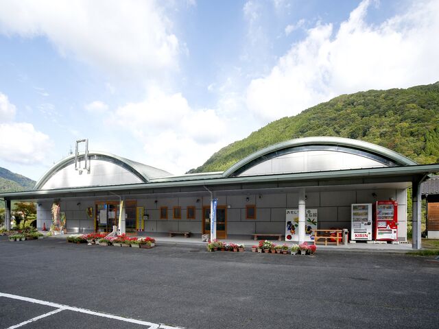 �������덩�����Ίق̎ʐ^1