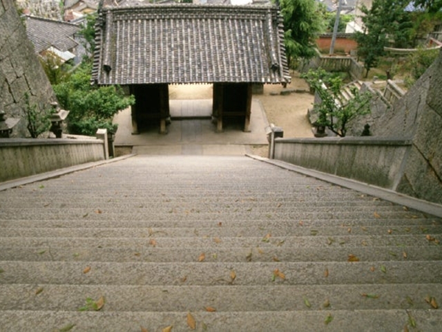 �䑳�V���{