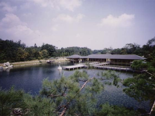 �O�i���̎ʐ^1