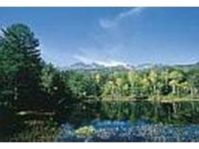 �X�͎���̐����c��A�~�c�K�V��������_�����r